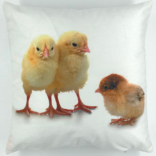 Federa decorativa POLLO