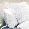 Coperte, cuscini, coperte