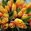 Fiori artificiali