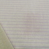 Tessuto decorativo Righe Iris - verde 66