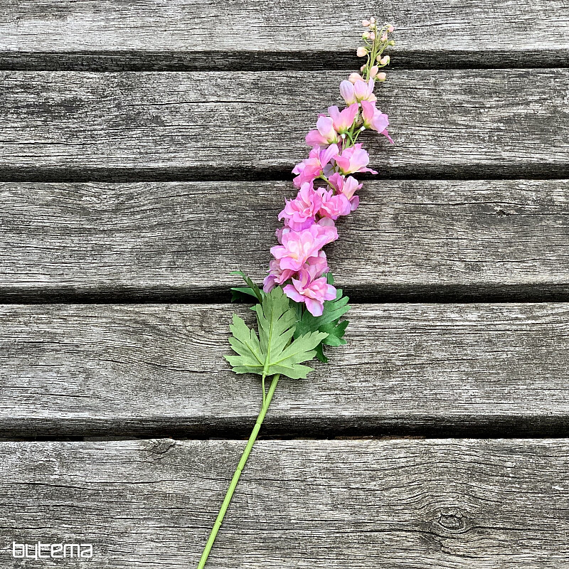 Delphinium rosa 79 cm