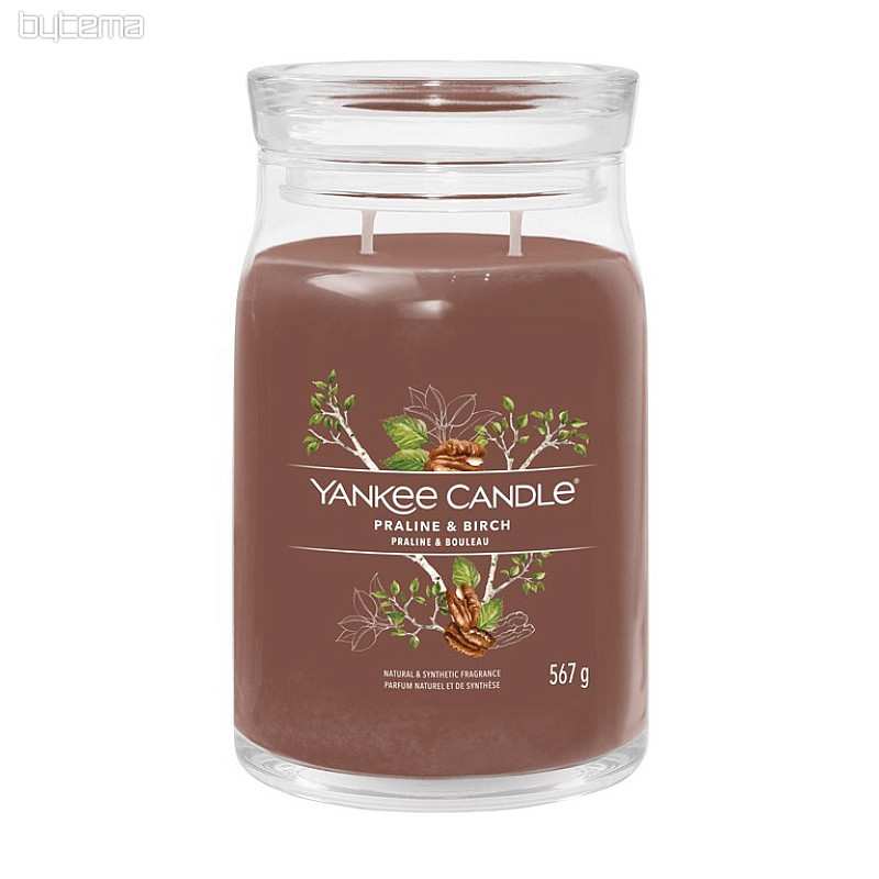 candela YANKEE CANDLE fragranza PRALINE e BETULLA IN VETRO GRANDE 2 stoppini