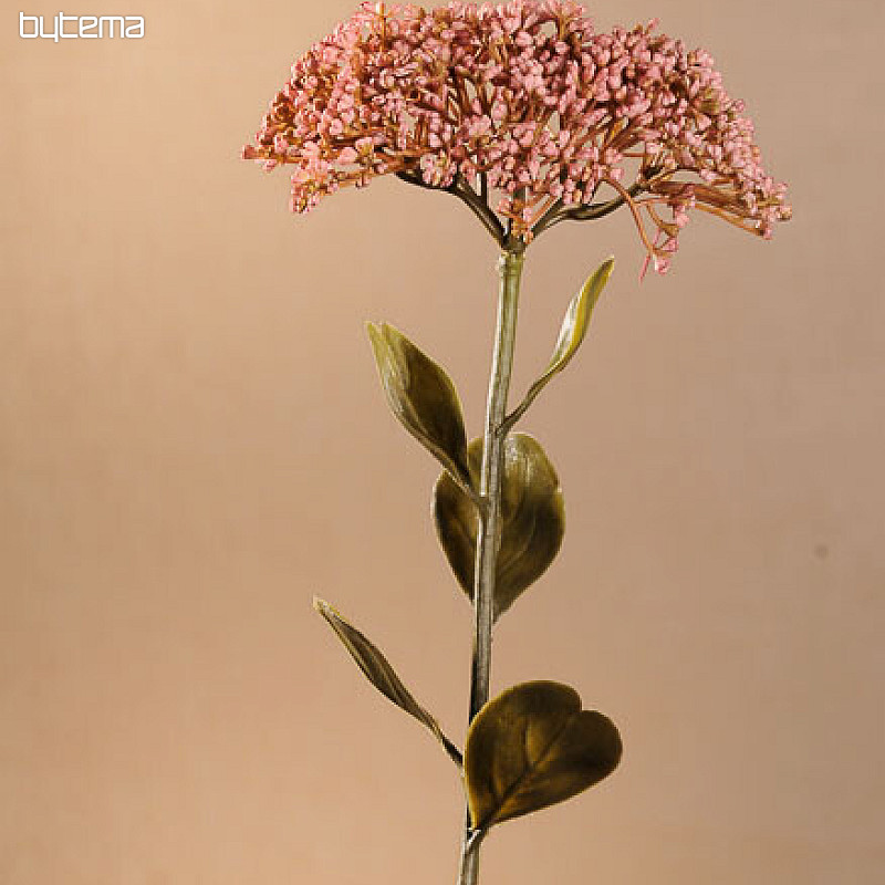 SEDUM SECCO IN PIENA FIORITURA 46 cm rosa antico