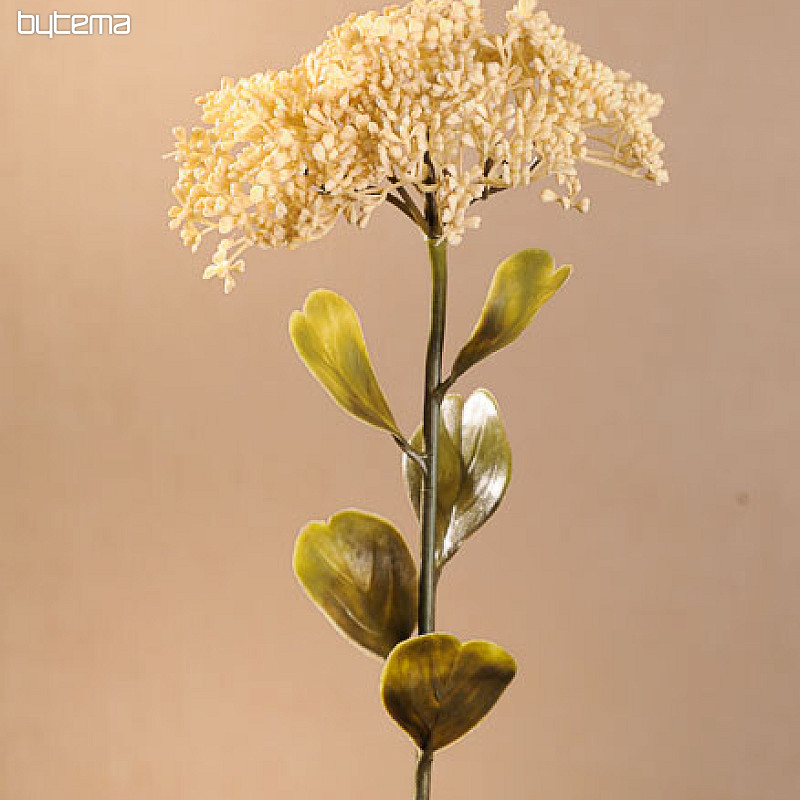 SEDUM SECCO IN PIENA FIORITURA 46 cm bianco