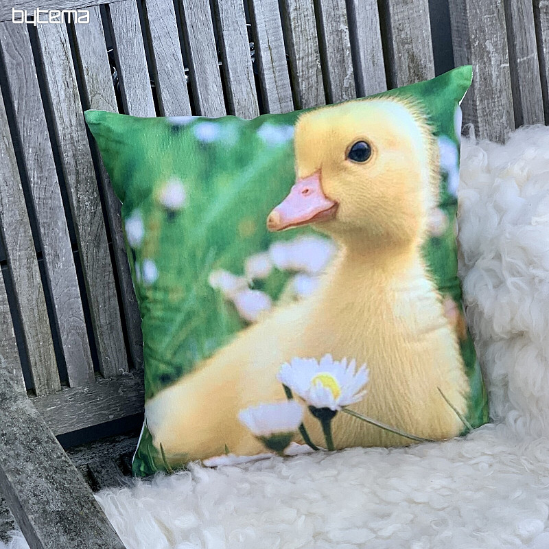 Fodera per cuscino decorativo HOUSÁTKO