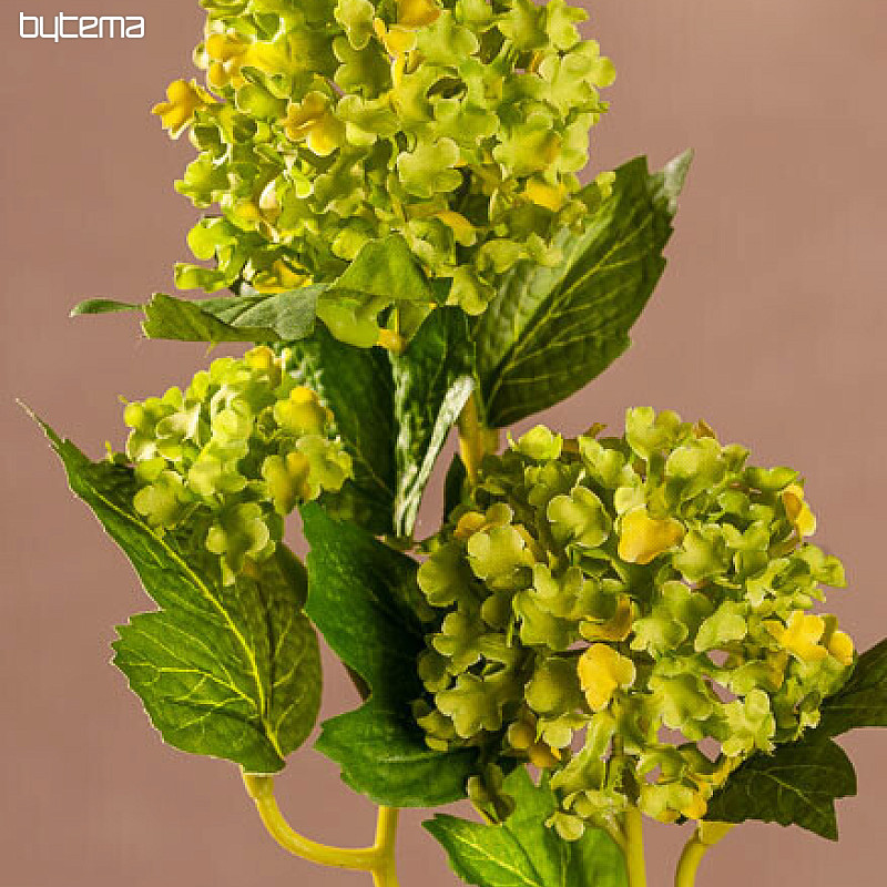 KALINA tm. verde