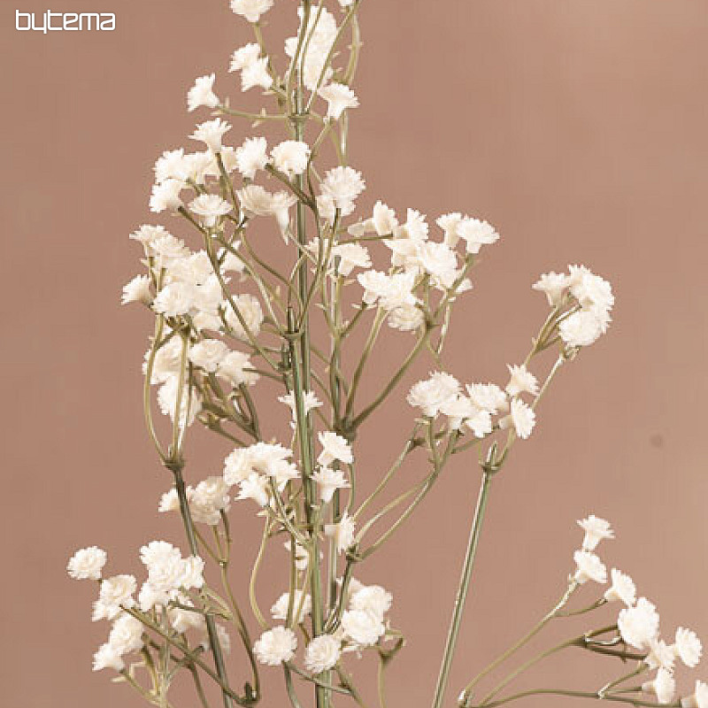 Crema GYPSOFILA