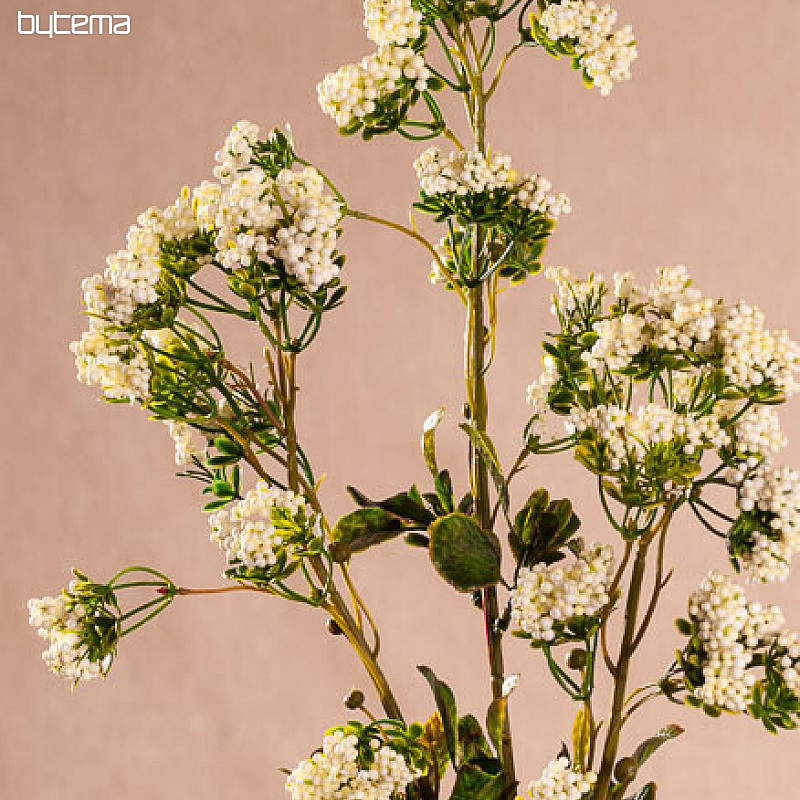 MINI FIORI bianchi
