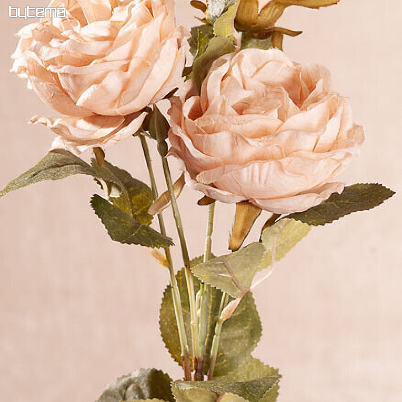 CAVOLO ROSA cremoso