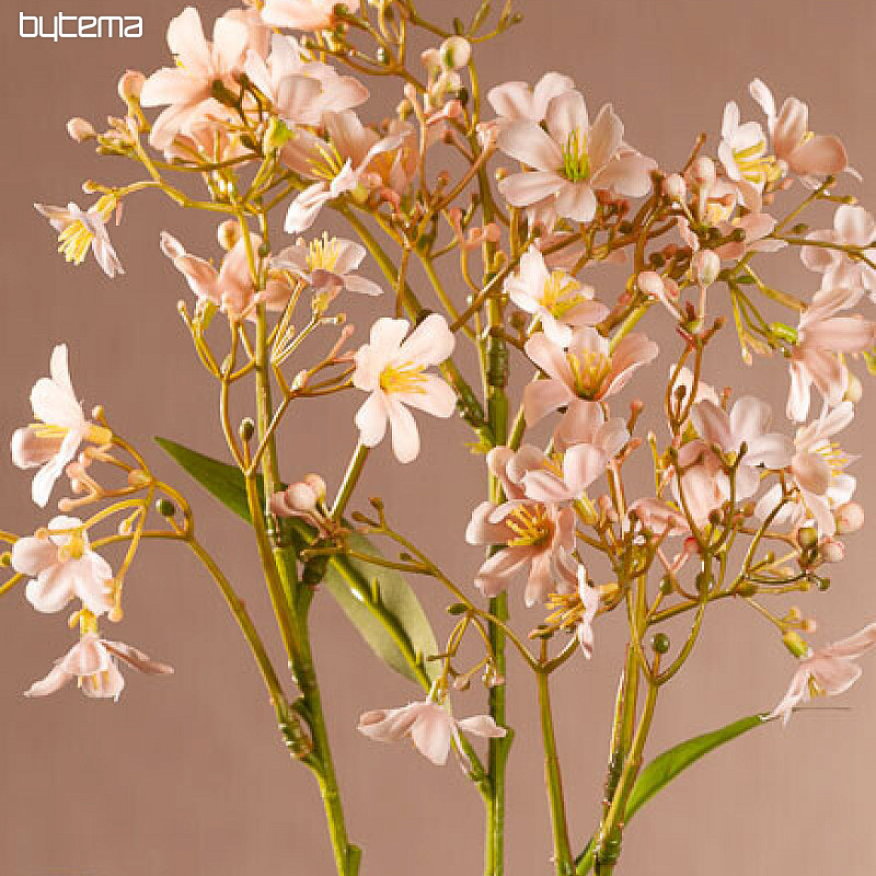 DAPHNE SPRAY ROSA