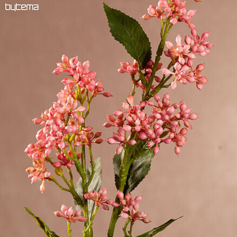 VIBURNO TINUS ROSA