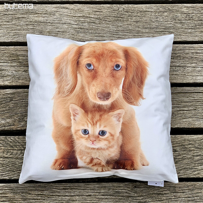 Federa CANE E GATTO