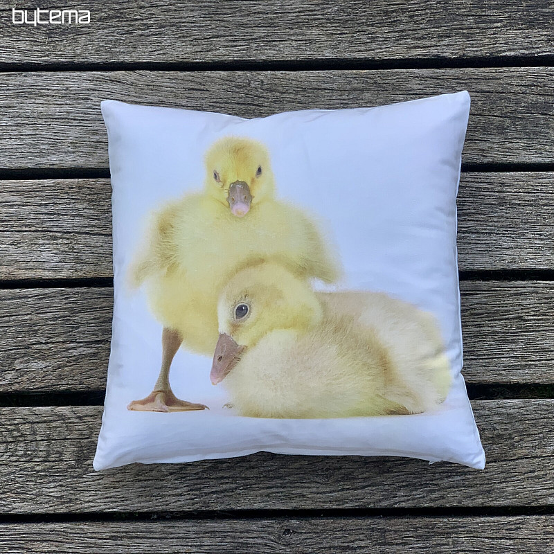 Federa decorativa GOOSE