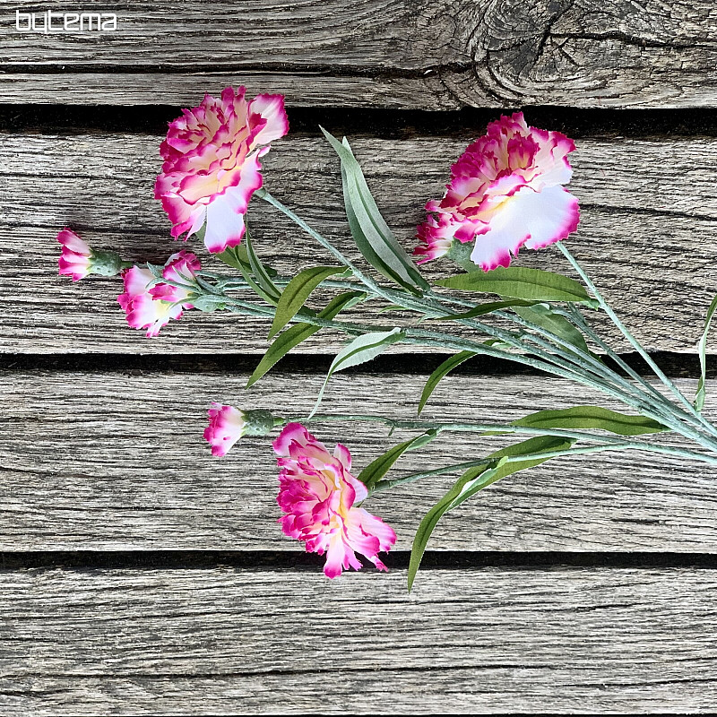 GAROFANO rosa e bianco