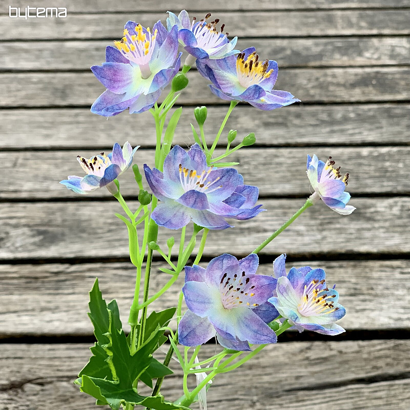 FIORE SELVATICO BLU