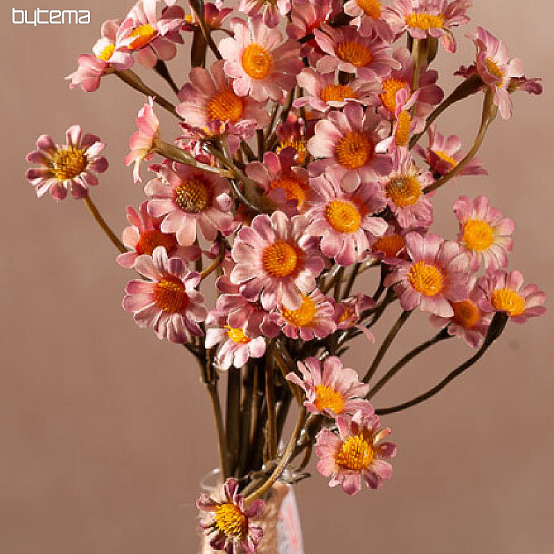 CAMOMILLA ROSA