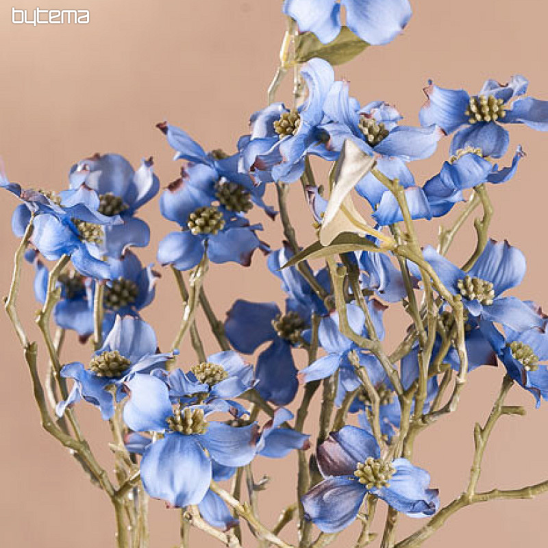 CORNIOLO BLU