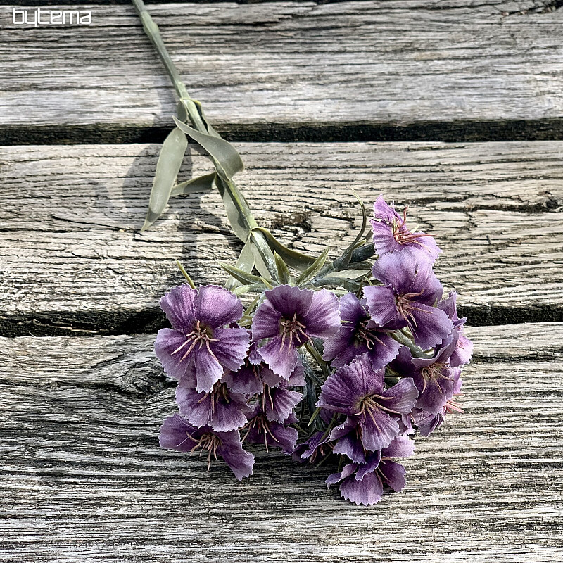 GAROFANO VIOLA