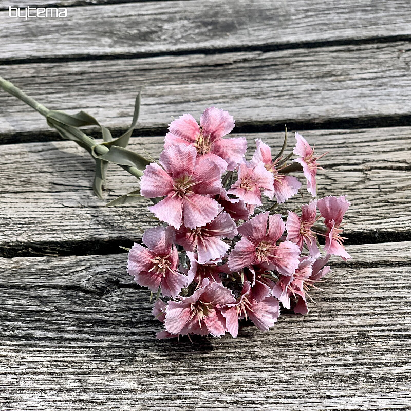 GAROFANO ROSA