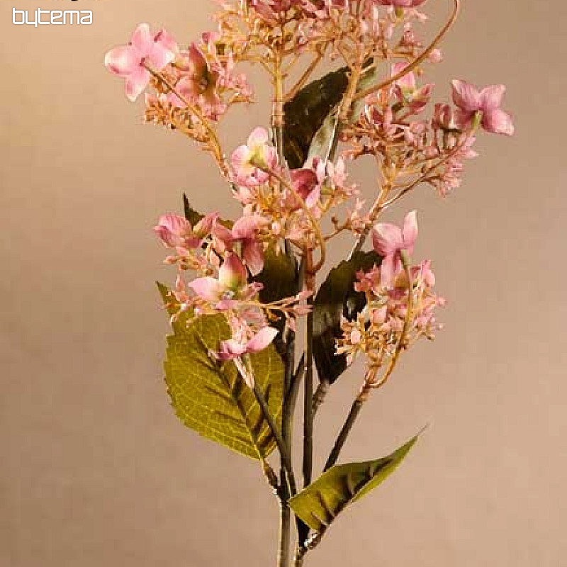ORTENSIA SELVATICA ROSA