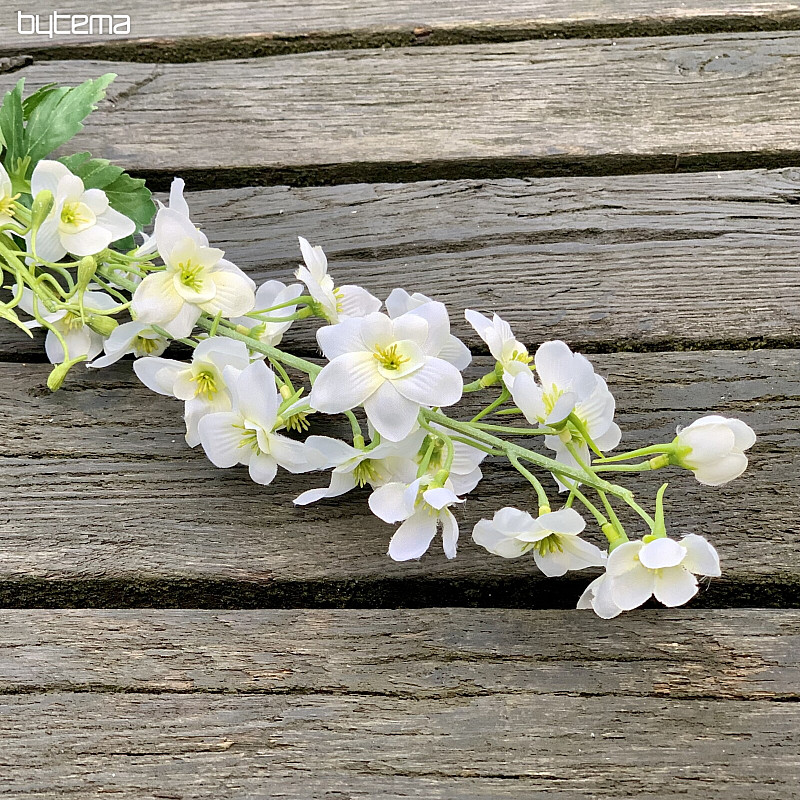 DELPHINIUM BIANCO