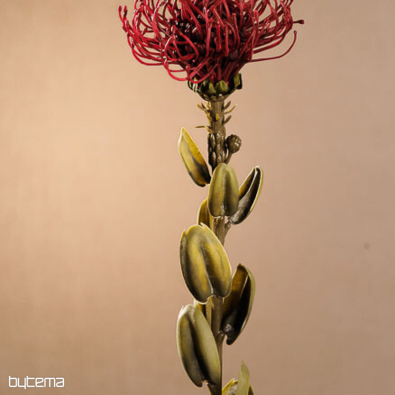 PICCOLA PROTEA SECCA ROSSA