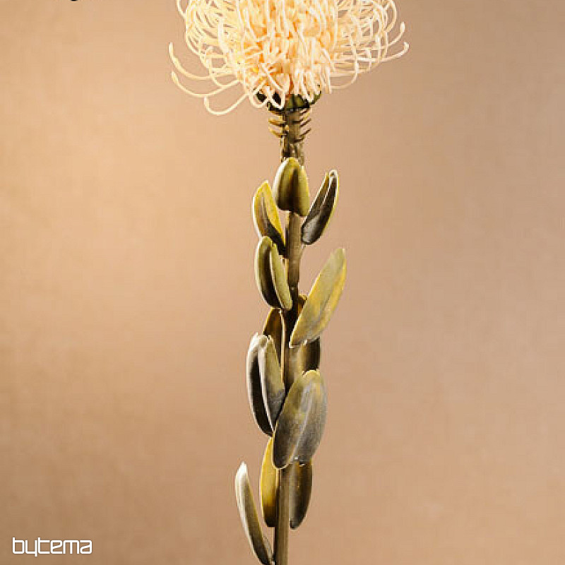 PROTEA PICCOLA SECCA BIANCA