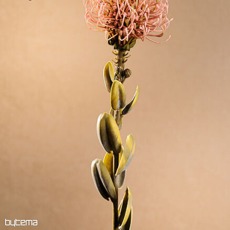 PICCOLA PROTEA ROSA SECCA