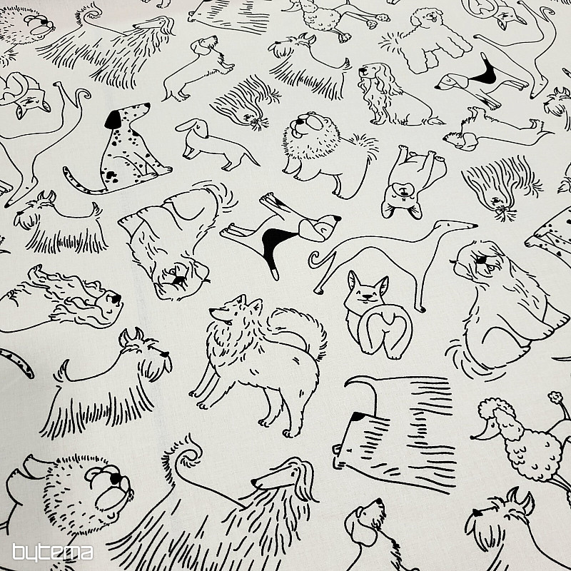 Materiale per pittura PSI