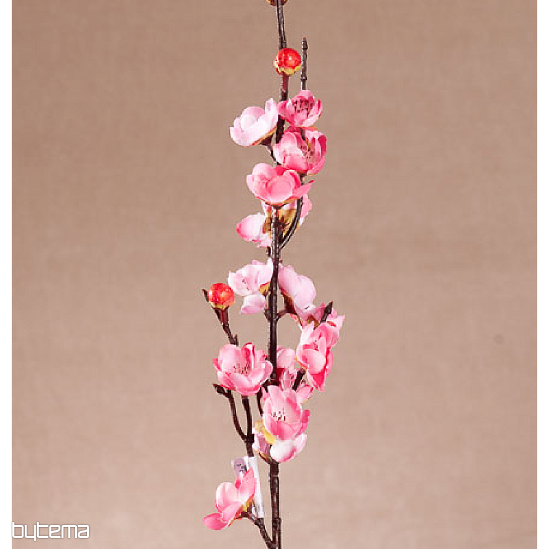 CILIEGIO ROSA PRIMAVERA