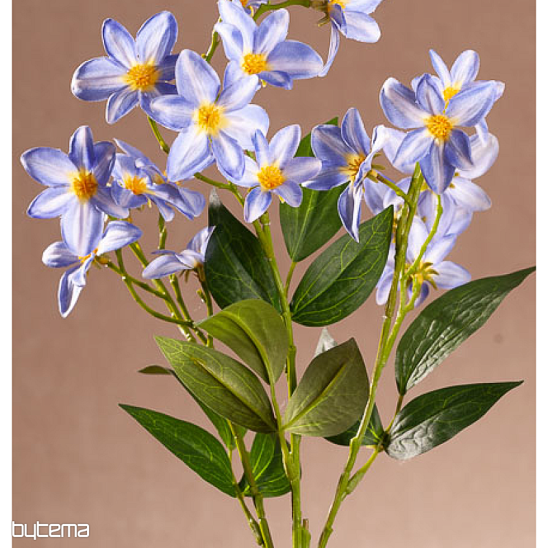 BLU CLEMATICO
