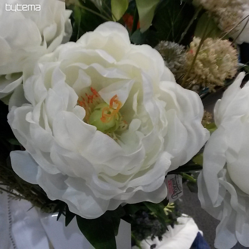 Peonia grande 67 cm
