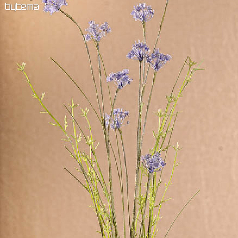 FIORI DI PRATO viola