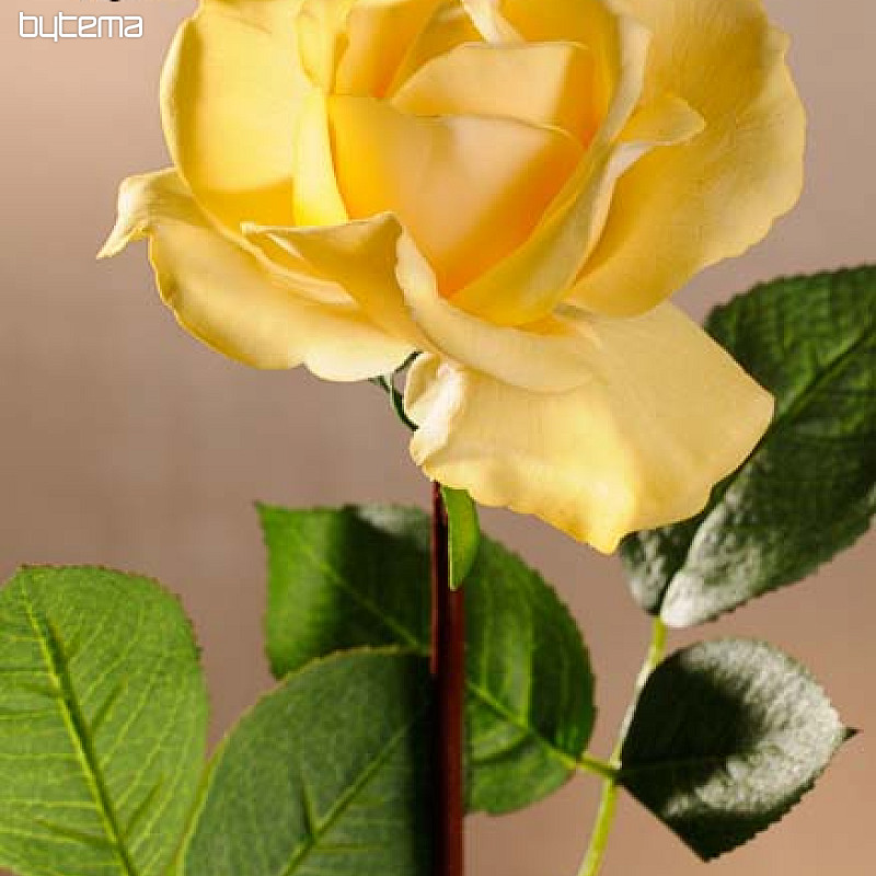 Rosa gialla 67 cm