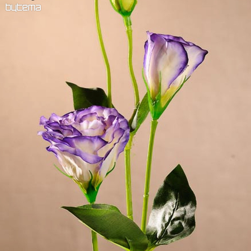 Lisianthus bianco blu 67 cm