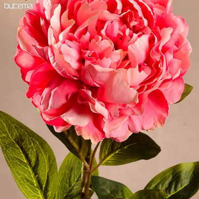 Peonia rosa 72 cm