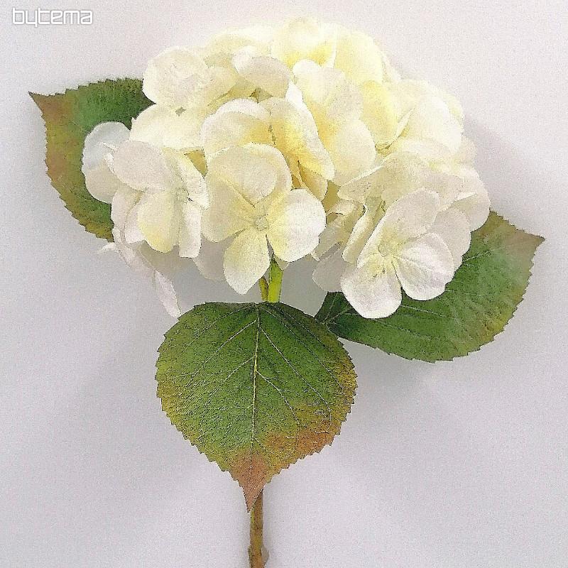 Ortensia bianca 48 cm