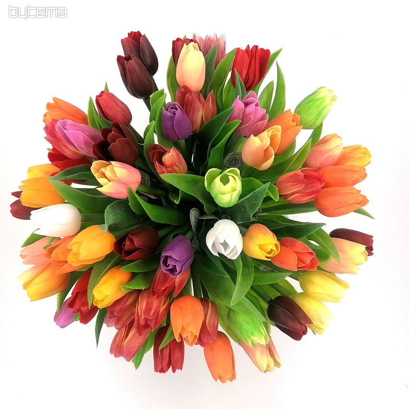 Mix di colori dei tulipani