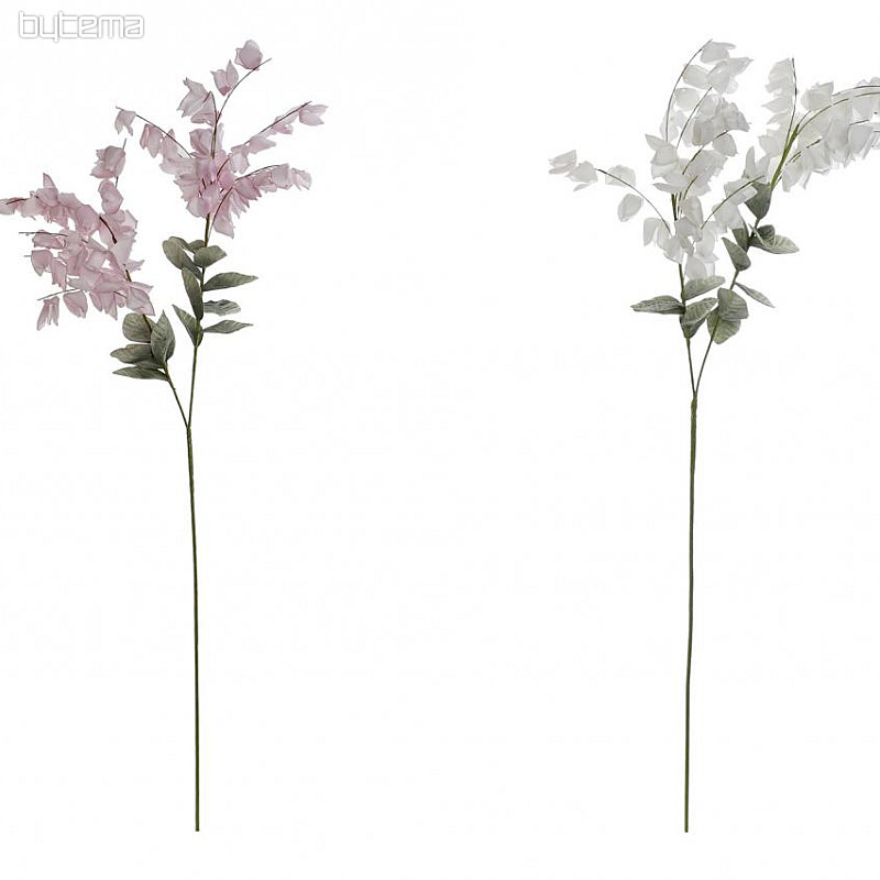 Glicine 126 cm