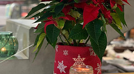 Il Natale più bello a casa nostra