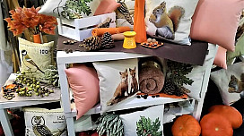 Divertimento autunnale