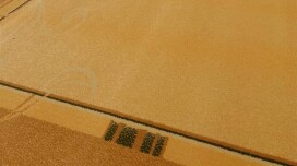 Cerchi tappeti economici? Abbiamo suggerimenti su yard e pezzi