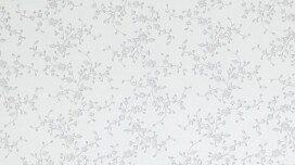 Cosa appartiene al muro? Intonaco, carta da parati o magari stucco?