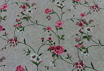 Fiori per l&#39;estate