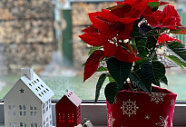 Last minute per la casa di Natale? Ti consiglieremo!