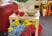 Notizie di primavera
