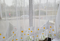 Notizie di primavera