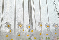 Notizie di primavera