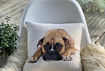 Per gli amanti degli animali: la morbidezza che vi addomesticherà