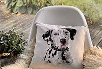 Per gli amanti degli animali: la morbidezza che vi addomesticherà